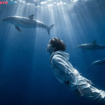 Underwater Digital Mysticism Scene with Dolphins and Young Man - Free Ai Image Prompt